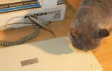 Thumbnail of 6.jpg